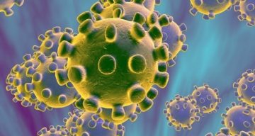 Çinli bilim adamları iki tip korona virüs olduğunu keşfetti