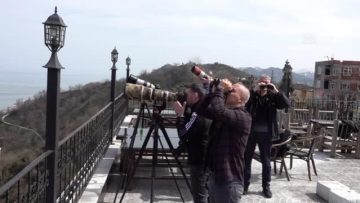 Kuş gözlemcileri Rize’de yırtıcı kuşların uzun göç yolculuğunu izliyor