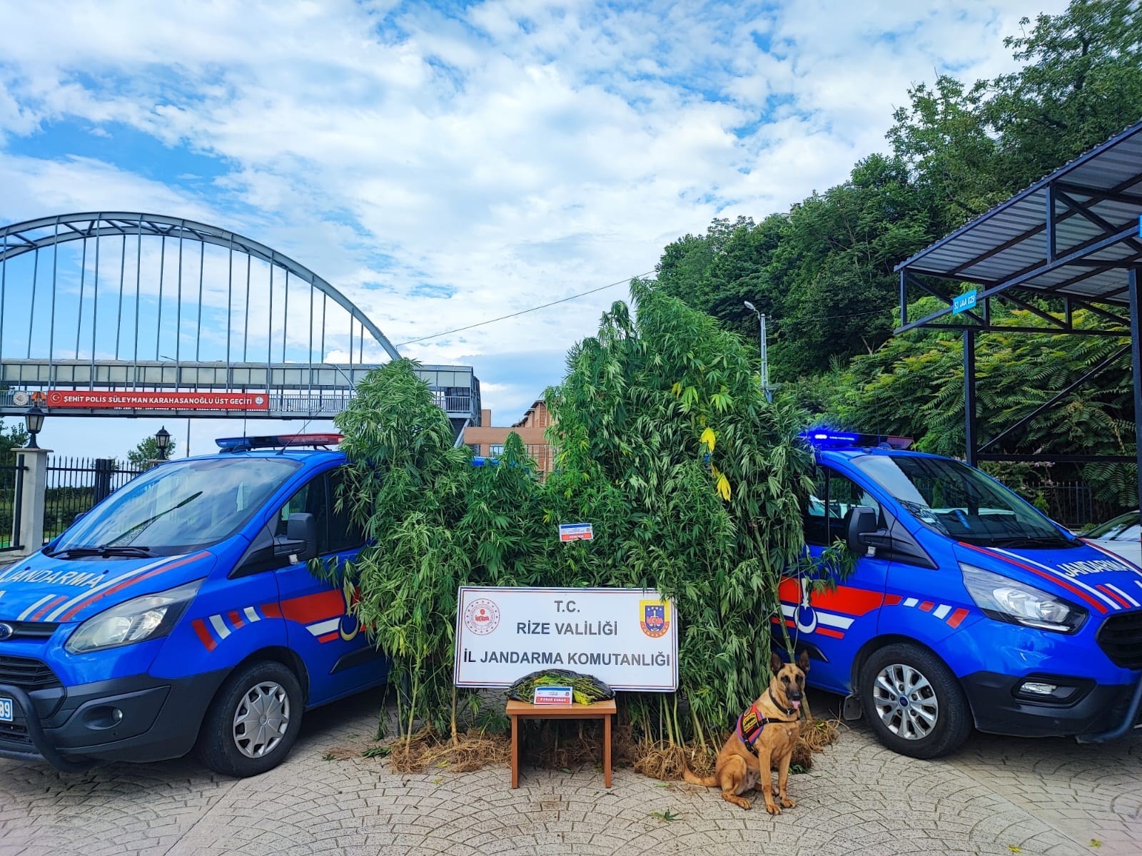 Rize İl Jandarma Komutanlığı Temmuz Ayı Operasyon Raporunu Açıkladı