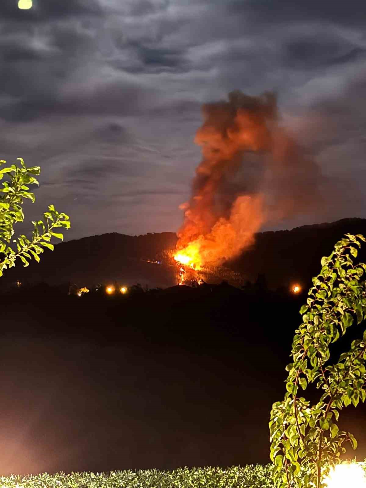 Ortaca’da orman yangını – Gazete Rize / Rize Haber / Son Dakika Rize Haberleri