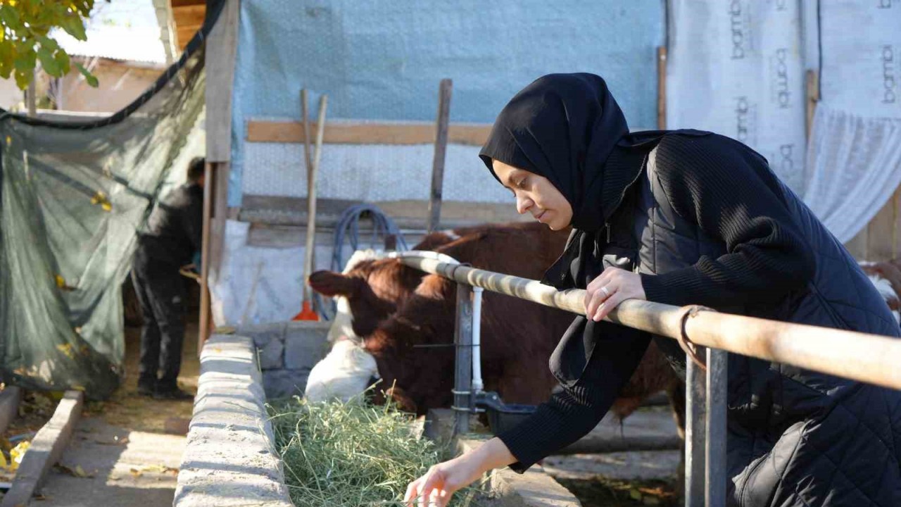 Gıda mühendisi 2 çocuk annesi devletten aldığı destek ile genç yaşta besici oldu